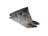 FRESH@1 SALMON HEAD 1KG